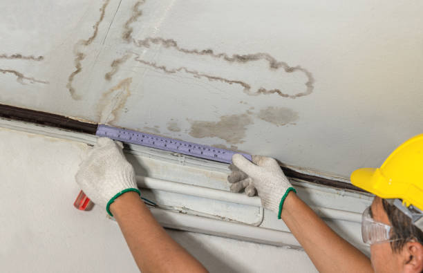Reliable Burst Pipe Cleanup contractor in Grove City, MN by Water Damage Irwin
